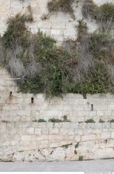 Overgrown Walls Stones